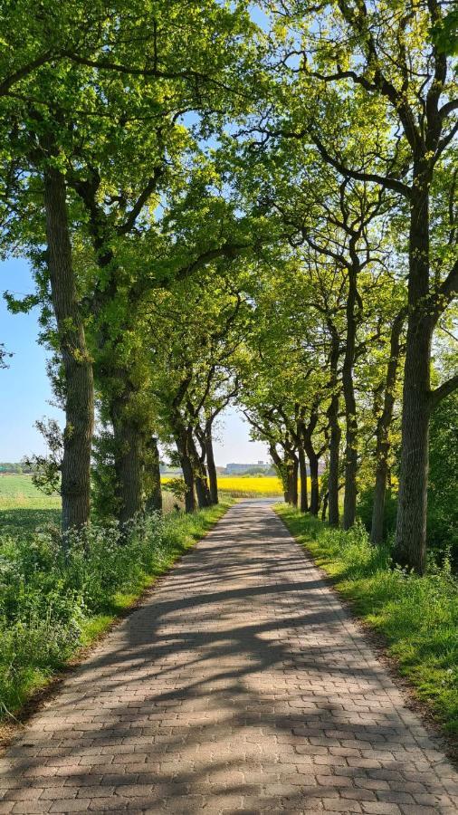 Ferienwohnung Baltrum Auf Dem Elisenhof Hagermarsch Екстер'єр фото